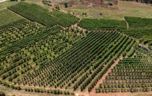 Farview Guest Accommodation