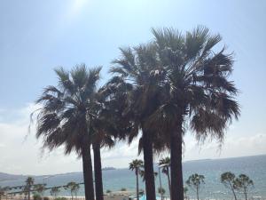 Appartements Cannes Terrace Beach Front & Sea view : photos des chambres