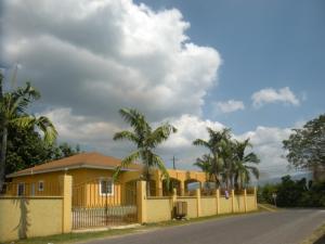 Chantilly Garden Jamaica