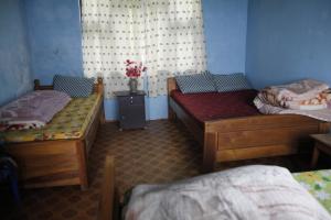 Borong Polok Village Homestay