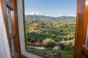 La Magione dei Todaro