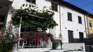 Apartment LAGUNA 08, 08A