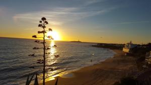 HABITACIONES LOS CAÑOS