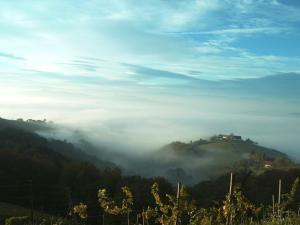 Weingut Schlafgut Genussgut Lorenz