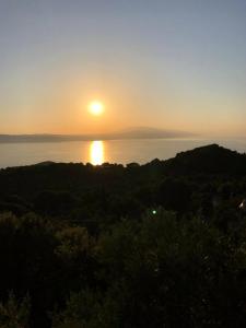 Villa Salina Luxury Pool Villa Skiathos Greece