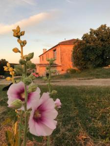 B&B / Chambres d'hotes Domaine du Colombier, Chambres d'Hotes : photos des chambres