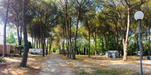 Campings Camping Maureillas : photos des chambres