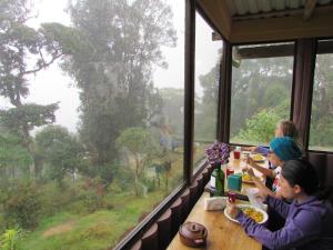 Iyok Ami (Madre Tierra)