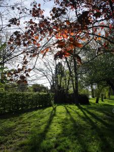 B&B / Chambres d'hotes Le Jardin de la Reyssouze : photos des chambres