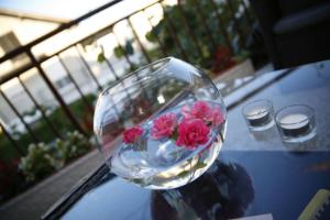 Apartmani Aleksic