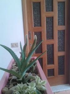 La mansarda dello scultore