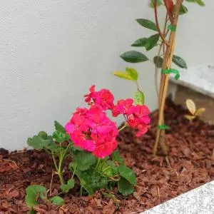 À Francos Metro - بورتو