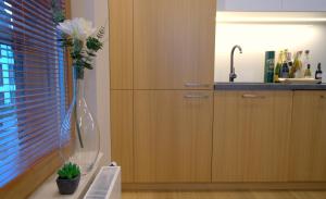 IRS ROYAL APARTMENTS Apartamenty IRS Bursztynowa