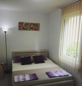 Apartmani Sutomore