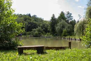 Robinson camp "Zeleni mir"