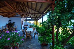 Pension Andromeda Alonissos Greece