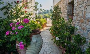 Pension Andromeda Alonissos Greece