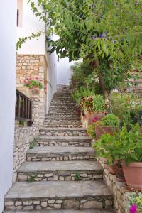 Pension Andromeda Alonissos Greece