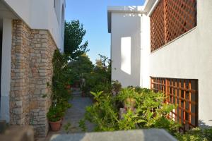 Pension Andromeda Alonissos Greece