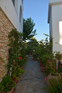 Pension Andromeda Alonissos Greece