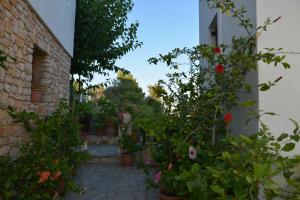 Pension Andromeda Alonissos Greece