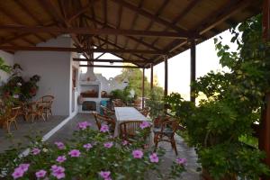 Pension Andromeda Alonissos Greece