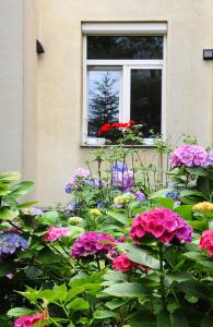 Krakow 360 Apartment