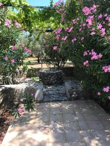 Gentilini Retreat