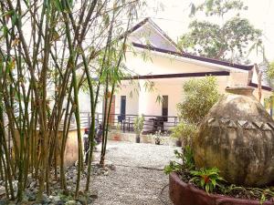 Weyhs Studio #2 by the ocean 100Mbps