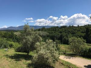Domaine le Commandaire