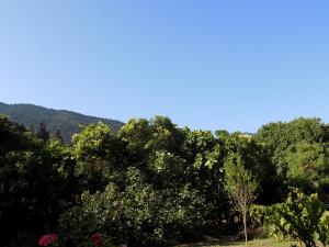 Guesthouse Eleftherios Achaia Greece