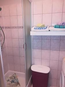 Apartment Gojsalic