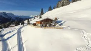 Wallegg Lodge - Alpine Premium Chalet - Ski In-Ski Out - Real Alpine Location Saalbach - 米特西尔