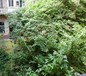 Happy Turtle Apartments