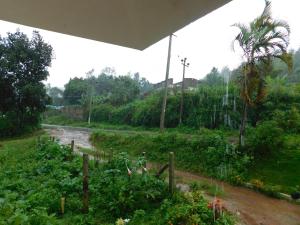 Cauvery Homestay