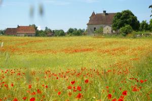 Maisons de vacances Quercy Stone Gite Marcilhac : photos des chambres