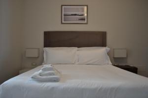 Gatto Bianco Le Terrazze