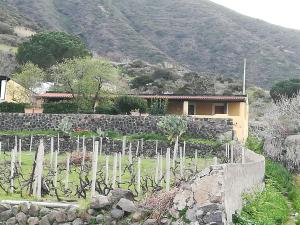 la casa di titti e jack