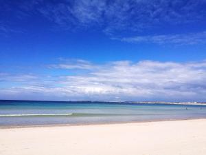 Peniches Blue & White