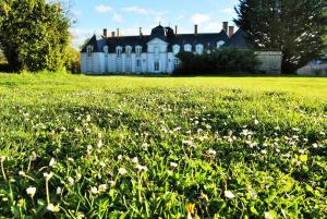 B&B / Chambres d'hotes Chateau La Touanne Loire valley : photos des chambres