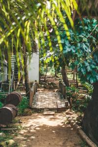 Easy Tiger - MPai Bay Beach, Koh Rong Sanloem