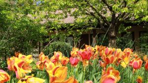 Hotels La Ferme de Thoudiere : photos des chambres