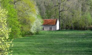 B&B / Chambres d'hotes Chateau La Touanne Loire valley : photos des chambres