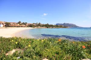 Apartment in S'Abba e Sa Pedra complex with pool img20