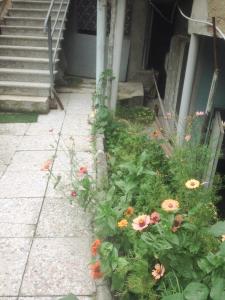 Gorgadze Apartment
