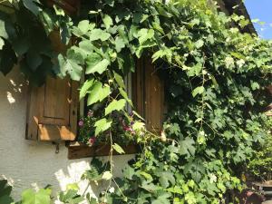 Privaat Tante Berg B&B Bad Vilbel Saksamaa