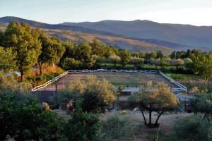 Fattoria La Tana della Volpe