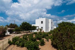 Salty Houses Naxos Naxos Greece