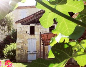 Maisons d'hotes L'Amiraute sur Baise : photos des chambres