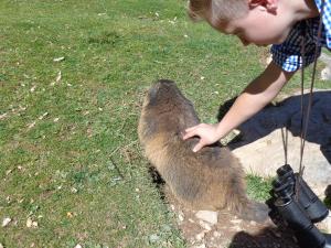 Ferienwohnungen Vierthaler